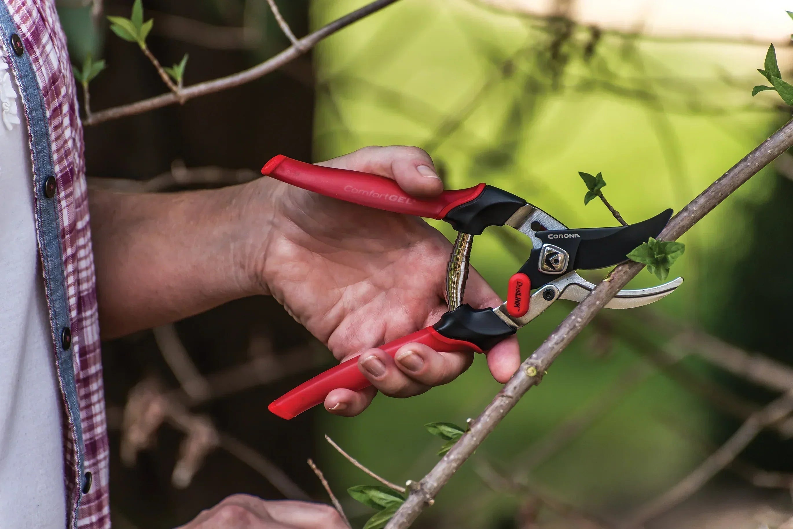 A Beginner's Guide to Pruning Your Plants