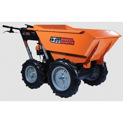 Ducar Dv196 Ducar Engine 5.5hp WBT25-6