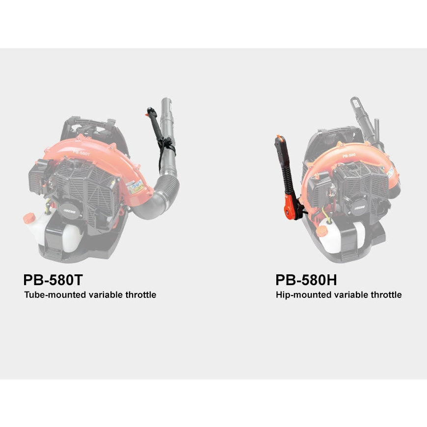 Echo Backpack Blower 58cc Tb Mount PB580T